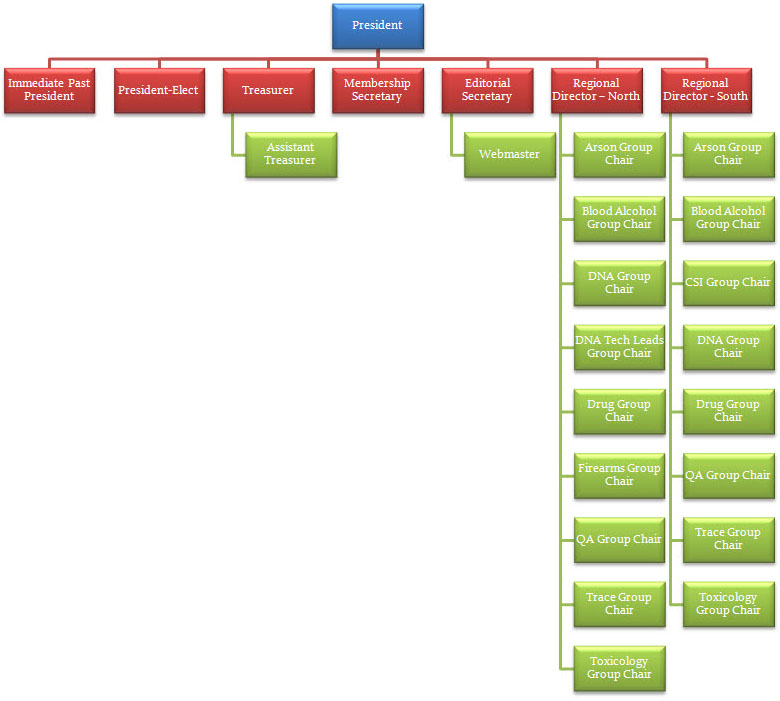 Online Store Organizational Chart